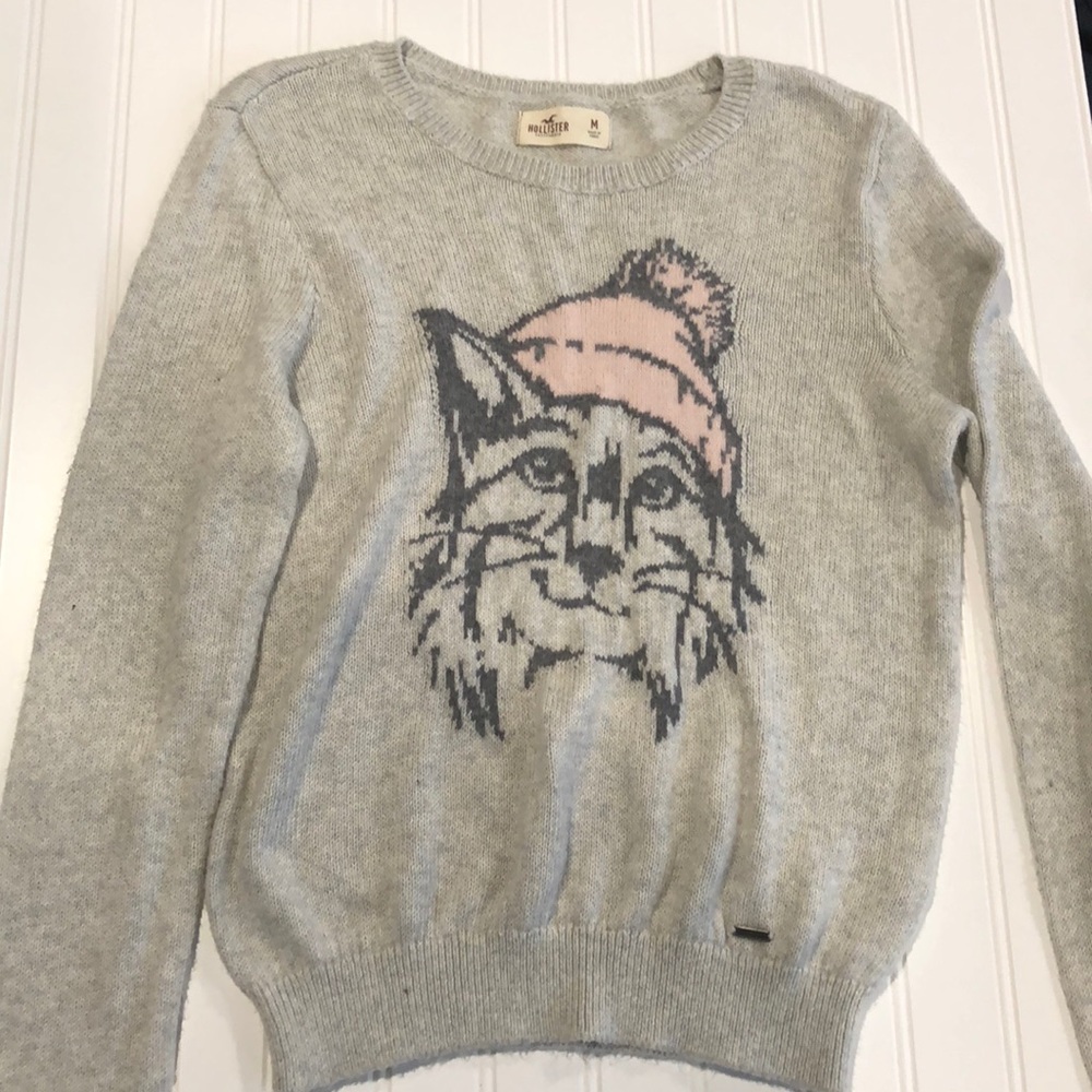 Medium hollister sweater